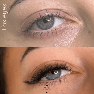 fox eyes fos sur mer